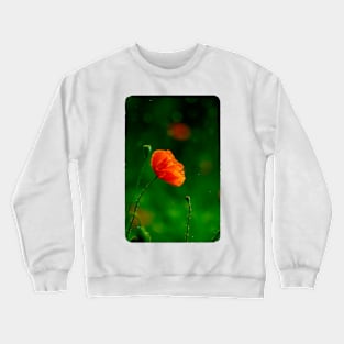 Scarlet Poppy Crewneck Sweatshirt